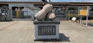落花生の像の写真