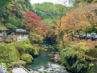 塩浸温泉 龍馬公園