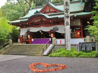 来宮神社の写真