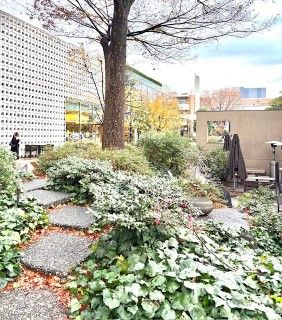 IVY PLACE （アイヴィー プレイス）の写真