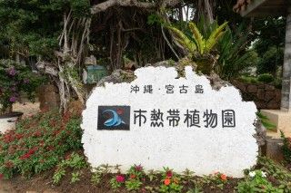 宮古島市熱帯植物園の写真