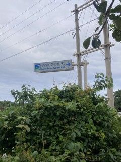 インギャーマリンガーデン