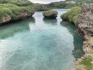 「P.N.K.M」さんからの投稿写真@インギャーマリンガーデン