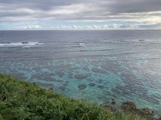 「P.N.K.M」さんからの投稿写真@インギャーマリンガーデン