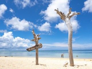 新城海岸の写真