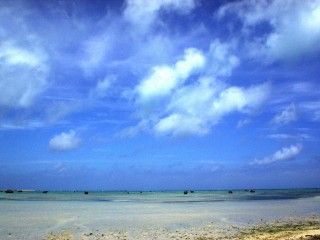 佐和田の浜の写真