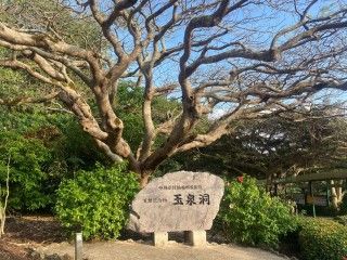 「P.N.K.M」さんからの投稿写真@玉泉洞