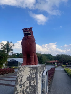 「P.N.K.M」さんからの投稿写真@おきなわワールド