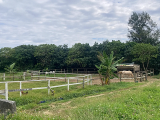 あおぞらニライカナイ牧場の写真