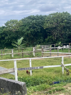 あおぞらニライカナイ牧場