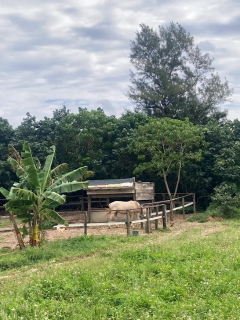 あおぞらニライカナイ牧場