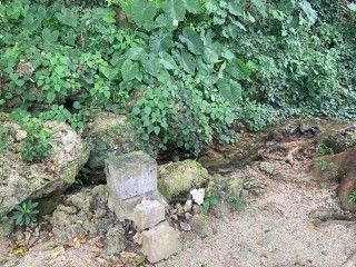 受水走水の写真