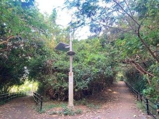 パイナガマ海空すこやか公園