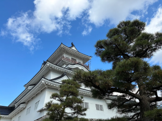 富山城址公園の写真