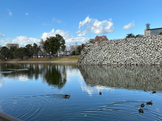 「P.N.じーかー」さんからの投稿写真@富山城址公園