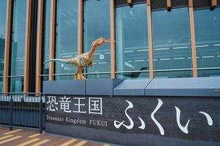 福井市観光交流センター