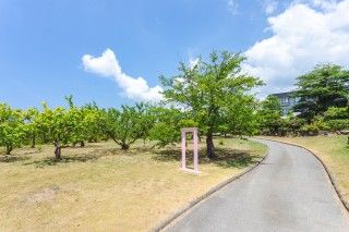 いこいの村能登半島の写真