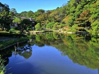 肥後細川庭園（旧新江戸川公園）