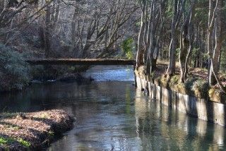 忍野フィッシングエリアの写真