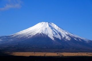 長池親水公園の写真