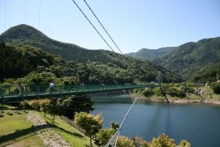 もみじ谷大吊橋の写真