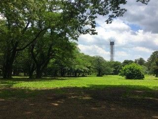 光が丘公園
