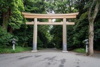 明治神宮の写真