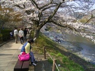 釜の淵公園の写真