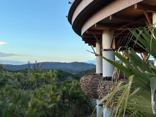 「P.N.かなで」さんからの投稿写真＠ジャングリア沖縄