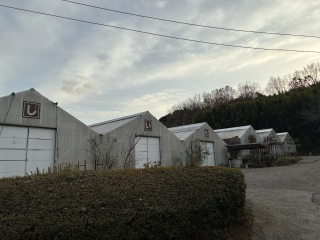 修善寺しいたけの里