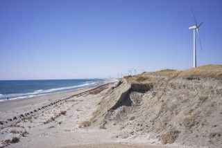 浜岡砂丘の写真