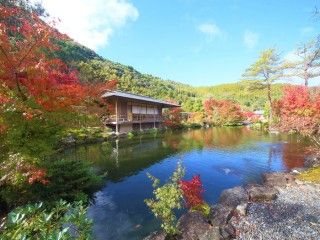 玉露の里の写真