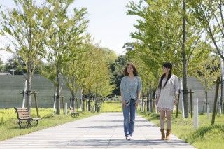 島根県立古代出雲歴史博物館の写真