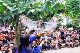 松江フォーゲルパークの写真