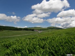 霧ヶ峰高原