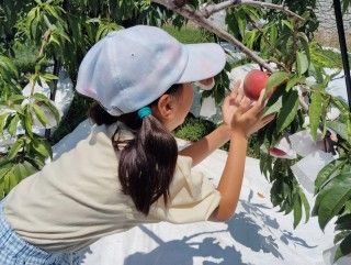 笛吹川フルーツ公園