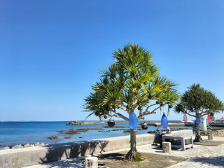 サンサンロード