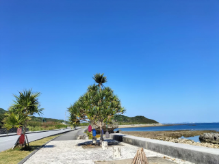 サンサンロード