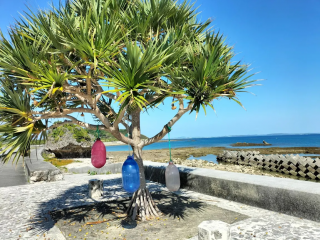 サンサンロードの写真