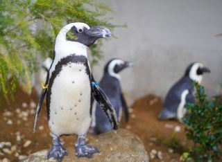 霞ケ浦 どうぶつとみんなのいえの写真