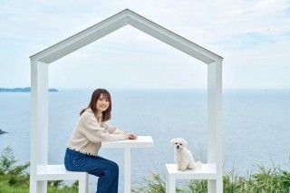 ACAO FORESTの写真