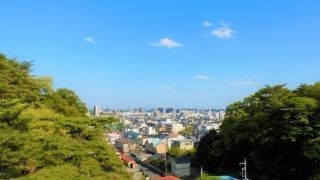 八幡山公園 動物舎の写真