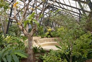 大多喜有用植物苑の写真