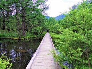 御泉水自然園の写真