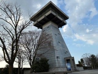 富山港展望台の写真