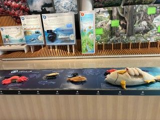 黒部市地域観光ギャラリー「観光案内所」