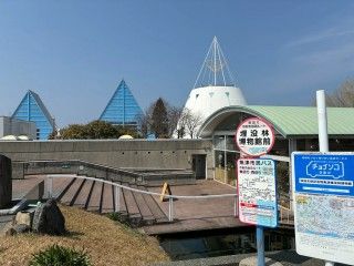 魚津埋没林博物館の写真