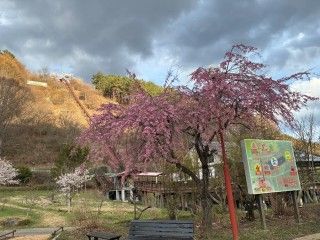 道の駅 南きよさと