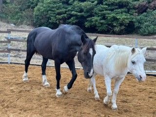 A-VILLAGE（エービレッジ）