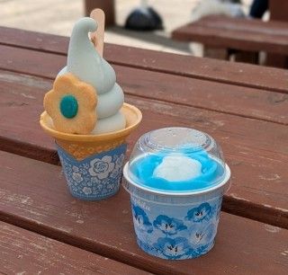 国営ひたち海浜公園